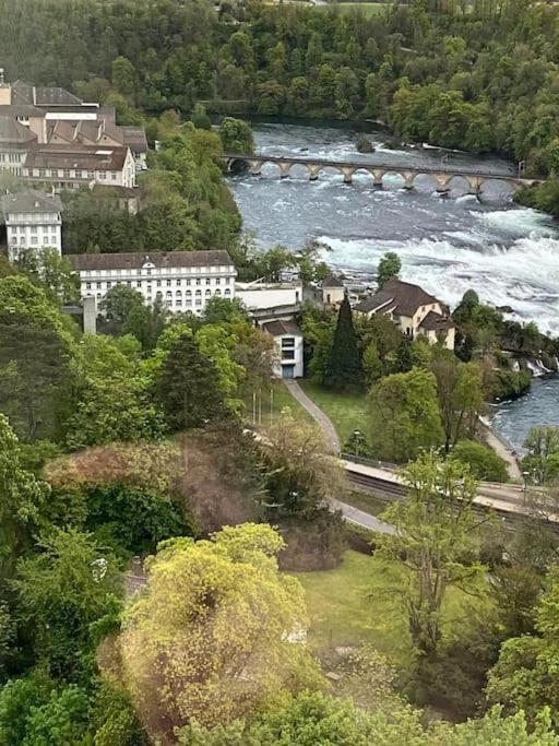 Prestigious Apt In Rhygarden Lägenhet Neuhausen Am Rheinfall Exteriör bild